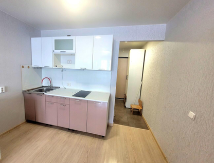 Студия, 23,3 м²