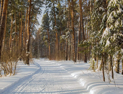 3-к. квартира, 57,9&nbsp;м²