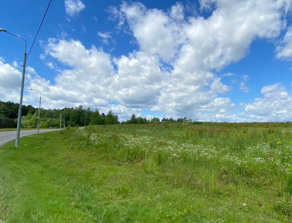 Участок (садоводство), 10 сот.