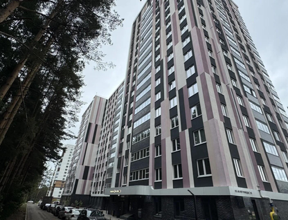 Студия, 24,2&nbsp;м²