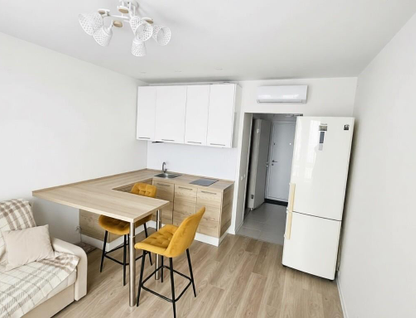Студия, 19,8&nbsp;м²
