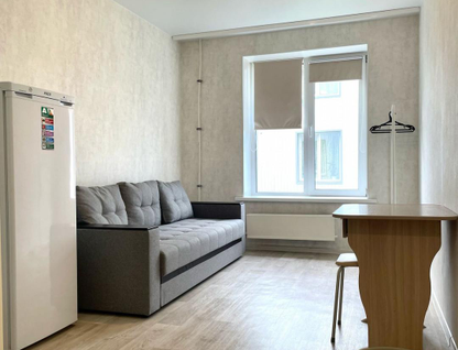 Студия, 17,1&nbsp;м²
