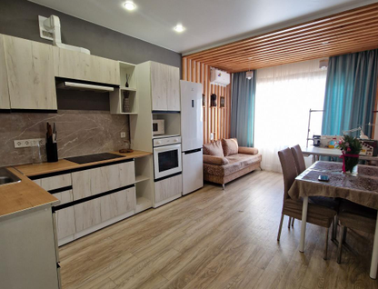 1-к. квартира, 45,2 м²