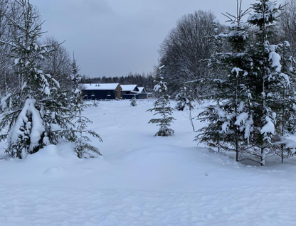 Участок (ижс), 6,6 сот.