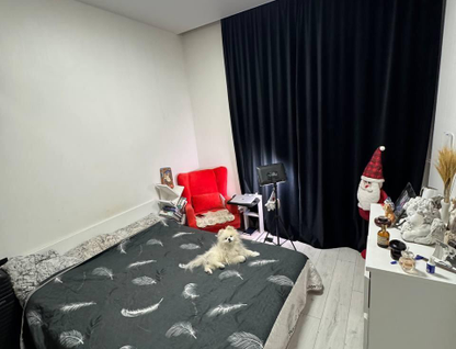 3-к. квартира, 50,3&nbsp;м²