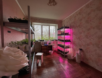 Комната, 10,8&nbsp;м²