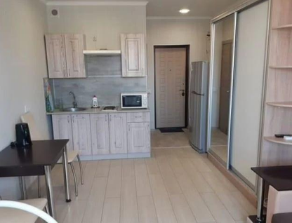 Студия, 24&nbsp;м²