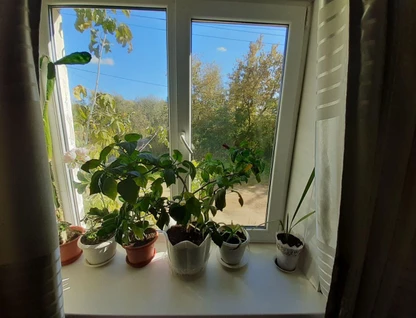 2-к. квартира, 47,9&nbsp;м²