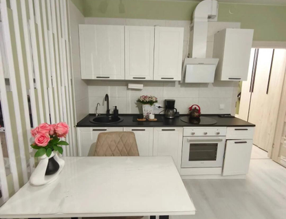 Студия, 27,5 м²