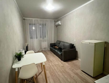 Студия, 23,3 м²