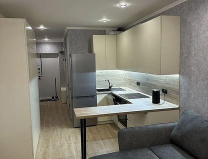 Студия, 30&nbsp;м²