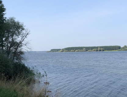 Участок (ижс), 40 сот.