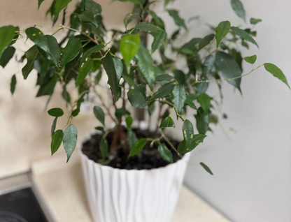 2-к. квартира, 50,7&nbsp;м²