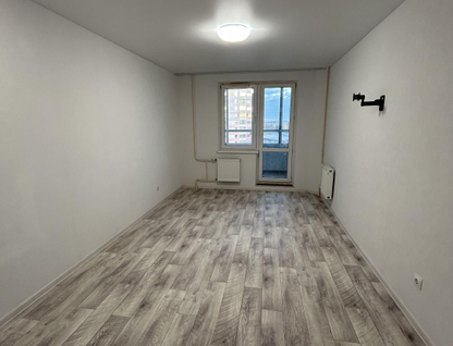 Студия, 23,6 м²