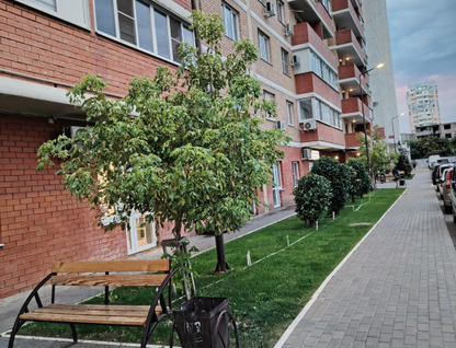 2-к. квартира, 64,6&nbsp;м²