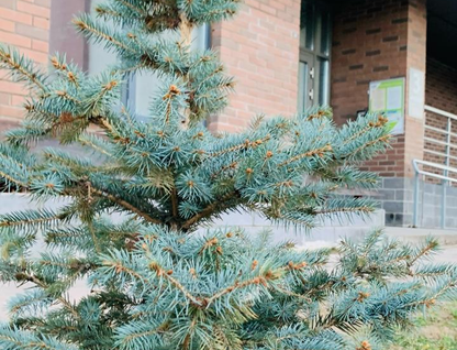 1-к. квартира, 34,8 м²