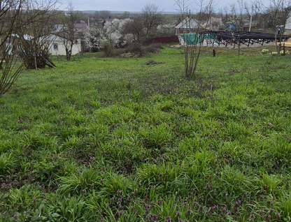 Участок (личное подсобное хозяйство), 12 сот.