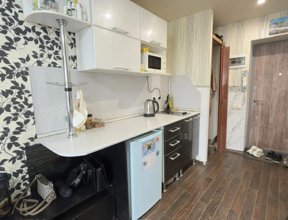 Студия, 17 м²