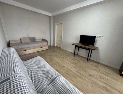 1-к. квартира, 46,2&nbsp;м²