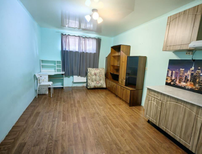 Студия, 22&nbsp;м²