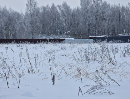 Участок (земля днп), 11 сот.