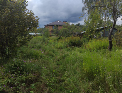 Участок (садоводство), 10,5 сот.