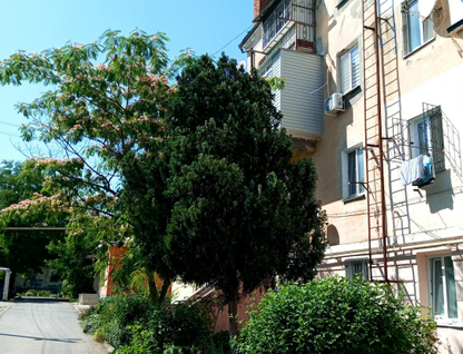 2-к. квартира, 41,5&nbsp;м²