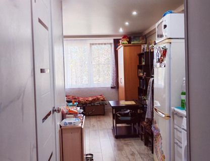 Студия, 18&nbsp;м²