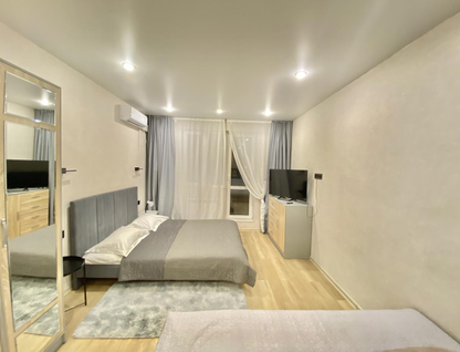 Студия, 30&nbsp;м²