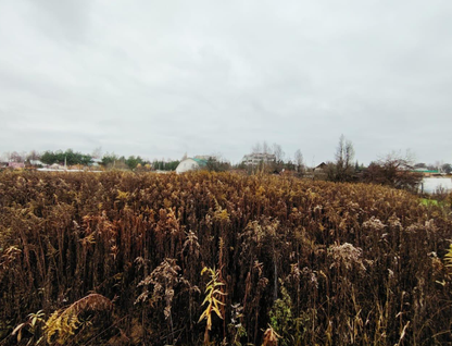 Участок (личное подсобное хозяйство), 14,6 сот.