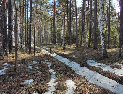 Участок (садоводство), 4 сот.