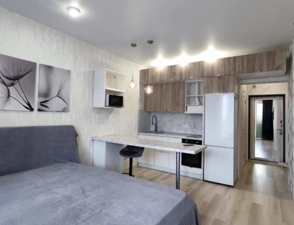 Студия, 26&nbsp;м²