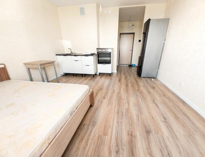 Студия, 24,8&nbsp;м²