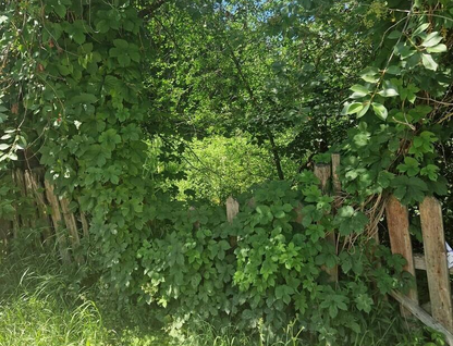 Участок (ижс), 15 сот.