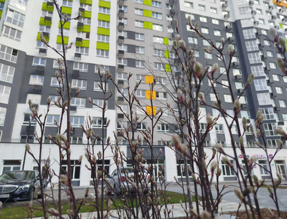1-к. квартира, 41,3&nbsp;м²