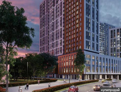 Студия, 24&nbsp;м²