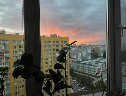 2-к. квартира, 49,4&nbsp;м²