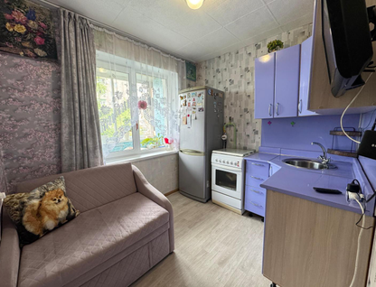 1-к. квартира, 29&nbsp;м²