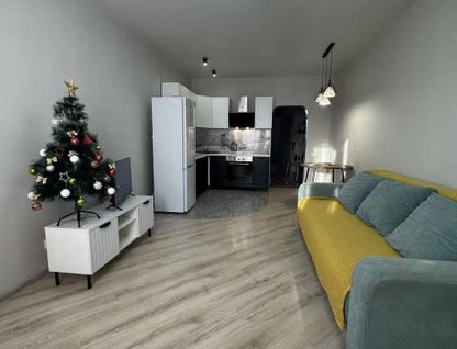 1-к. квартира, 43,3&nbsp;м²