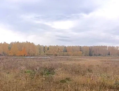 Участок (садоводство), 10,2 сот.