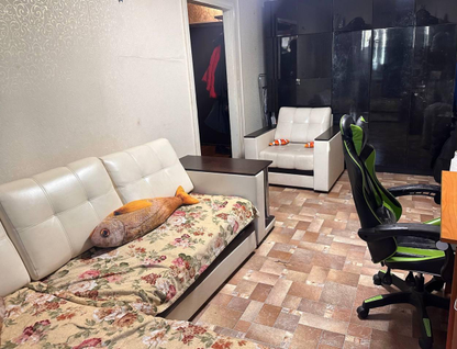 1-к. квартира, 29 м²