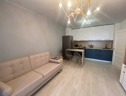 Студия, 26,4 м²