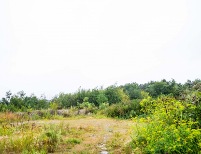 Участок (ижс), 20 сот.