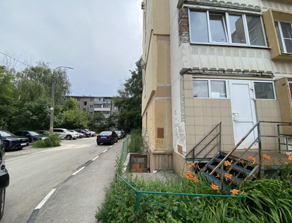 Помещение свободного назначения, 38,3&nbsp;м²