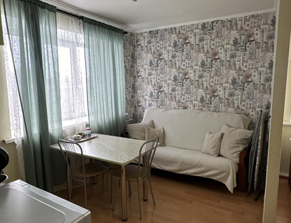 1-к. квартира, 22,9&nbsp;м²