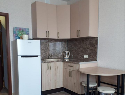 Студия, 21&nbsp;м²