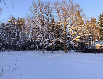 Участок (ижс), 9,7 сот.