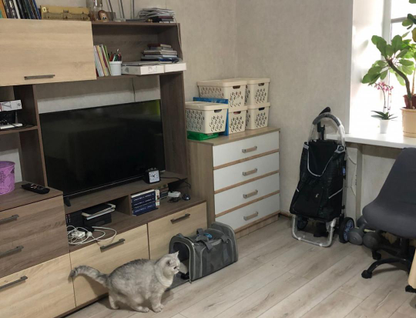 Комната, 21 м²