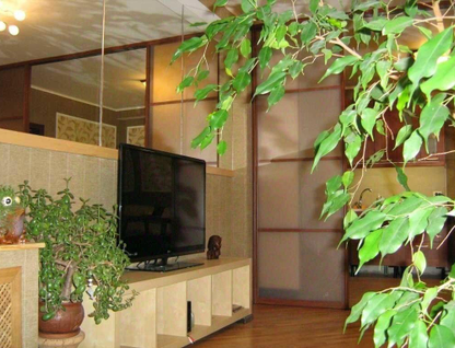 1-к. квартира, 51 м²