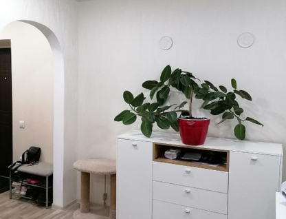 1-к. квартира, 30 м²